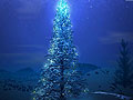 "/tmp/upload/8a56f1b6a338fd69af9410ad9a9805d31d18a8d45fae72b40c7ef0c6736628401/th_christmas38.jpg"