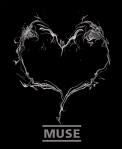 muse