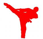 karate logo